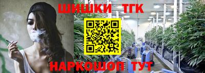 шишки Гатчина