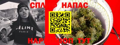 прущие грибы Гай
