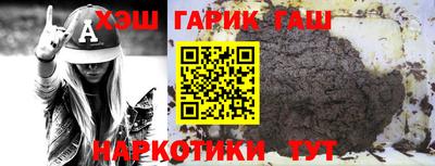 шишки Гатчина