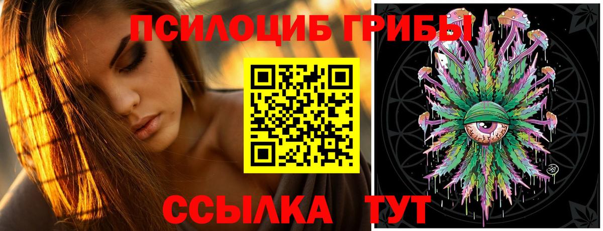 Галлюциногенные грибы GOLDEN TEACHER  Серов  Псилоцибиновые грибы Magic Shrooms 