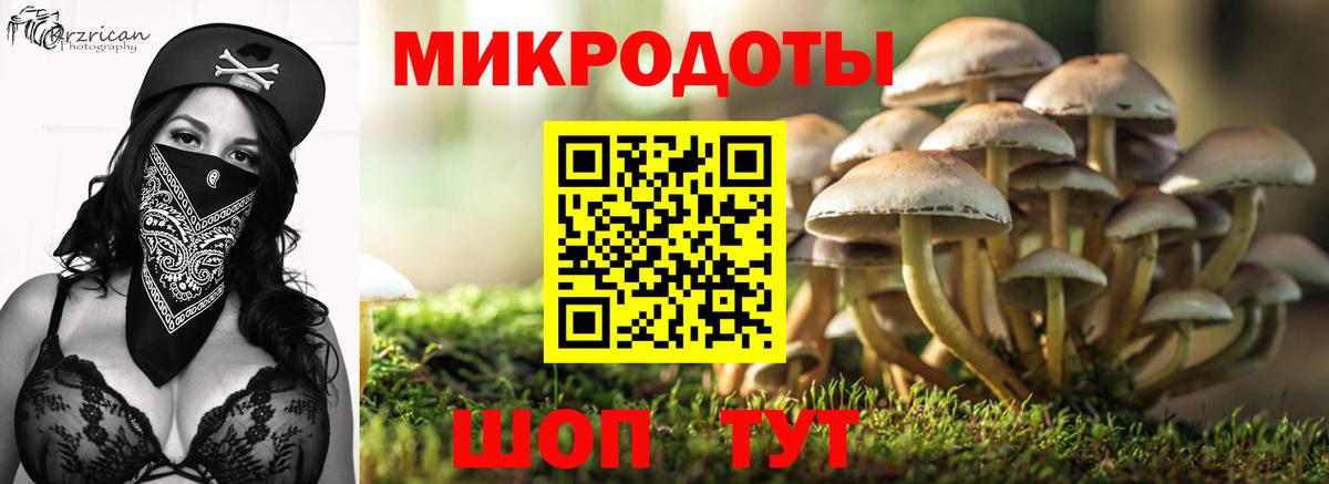 Серов  Псилоцибиновые грибы GOLDEN TEACHER  Вход с VPN 